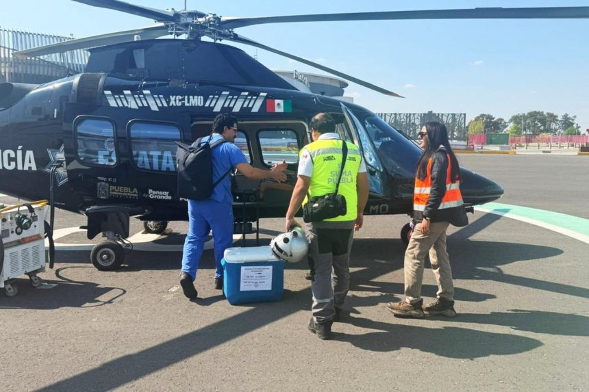 Gobierno de Puebla coordina traslado aéreo de hígado para trasplante a la CDMX