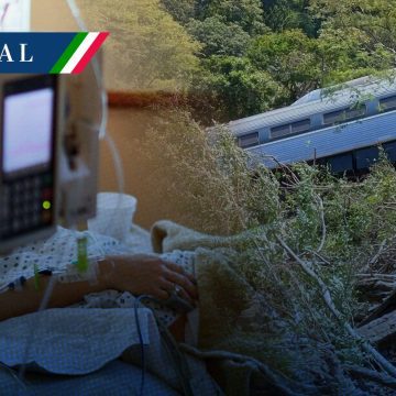 Suman 14 muertos por descarrilamiento del Tren Interoceánico