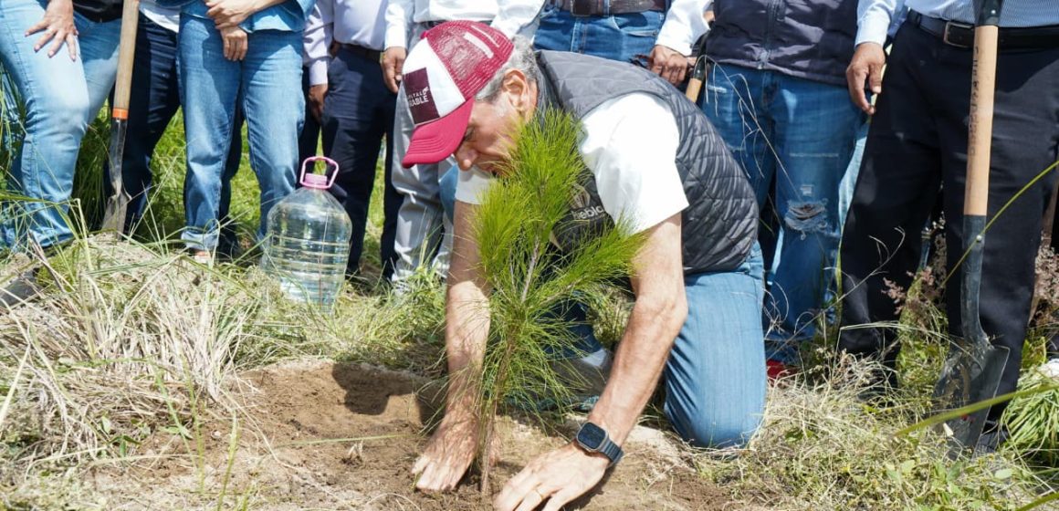 Puebla capital fija meta de 100 mil árboles plantados para 2026