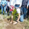 Puebla capital fija meta de 100 mil árboles plantados para 2026