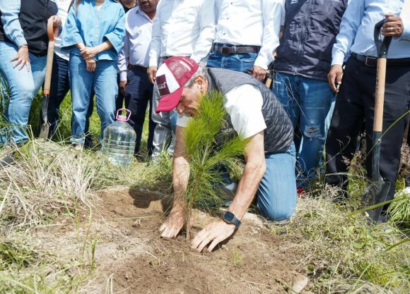 Puebla capital fija meta de 100 mil árboles plantados para 2026