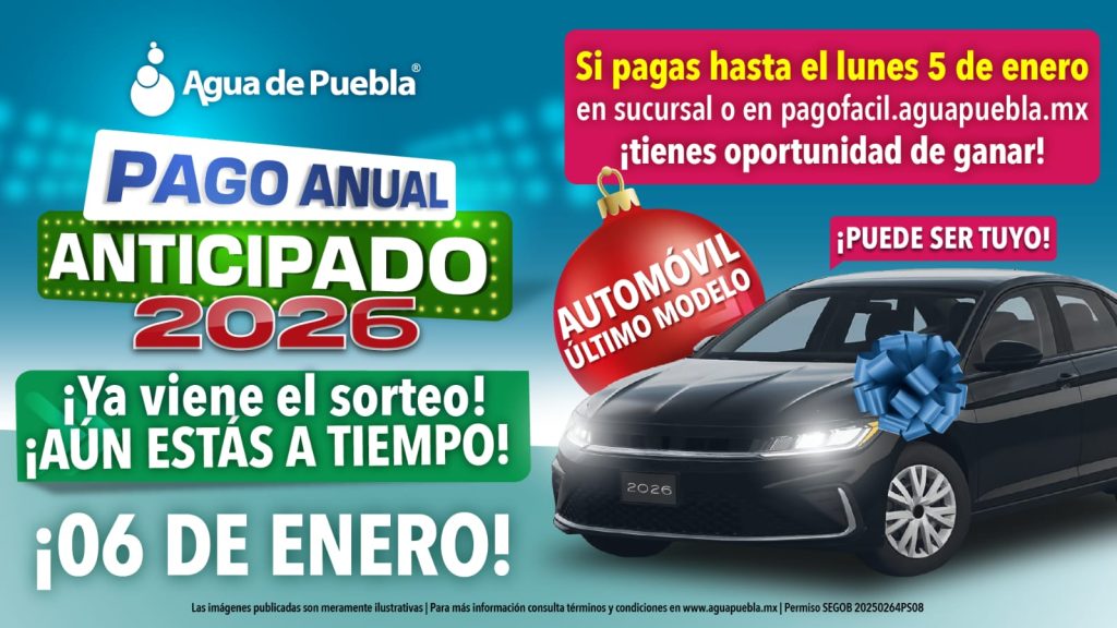 WhatsApp Image 2026 01 04 at 9.19.56 PM