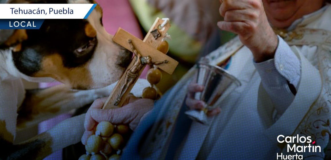 Tehuacán alista su 17° Festival Bendición de los Animales