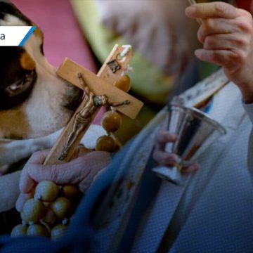 WhatsApp Image 2026-01-12 at 11.09.51 AM Tehuacán alista su 17° Festival Bendición de los Animales