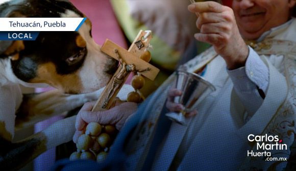 Tehuacán alista su 17° Festival Bendición de los Animales