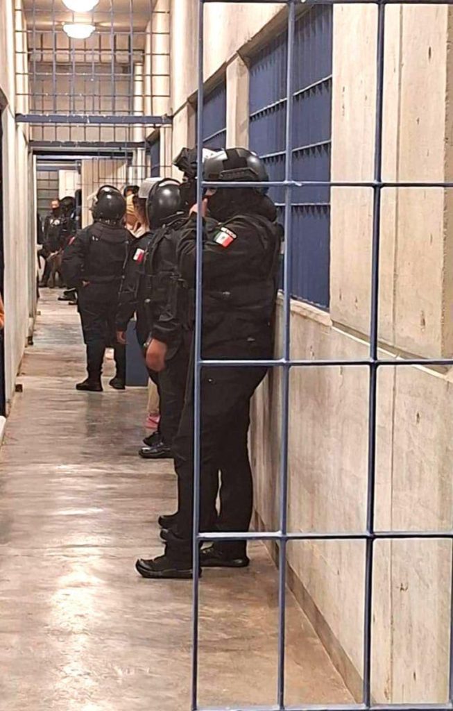 WhatsApp Image 2026 01 29 at 3.18.13 PM