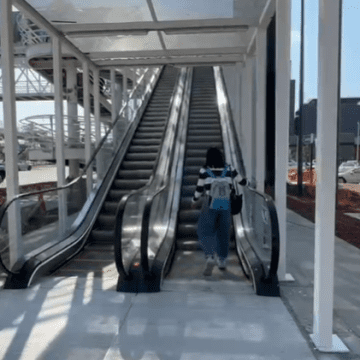 escaleras Entran en operación las nuevas escaleras eléctricas del CCU BUAP