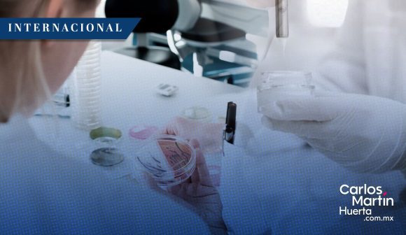 ¡Adiós a los químicos eternos! Francia prohíbe su uso en cosméticos y moda