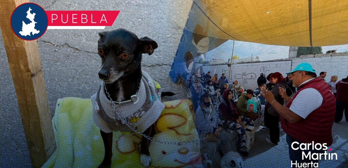 Bienestar animal en Puebla: Acercan jornadas gratuitas de salud y esterilización a las juntas auxiliares