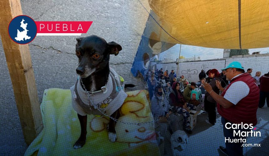 Habrá Jornada de Bienestar Animal este 1 de abril en Granjas San Isidro