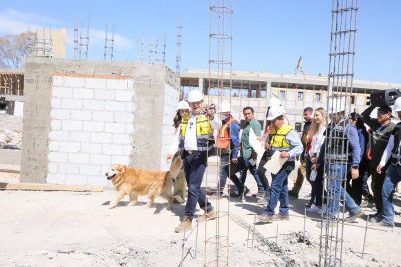 Célula de Bienestar Animal en Puebla registra avance del 38%