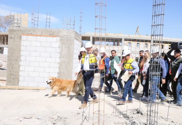 Célula de Bienestar Animal en Puebla registra avance del 38%