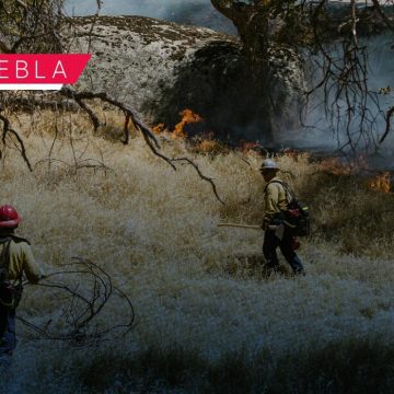 Coordinación interinstitucional fortalece combate a incendios forestales