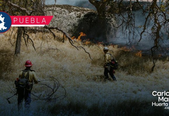 Coordinación interinstitucional fortalece combate a incendios forestales