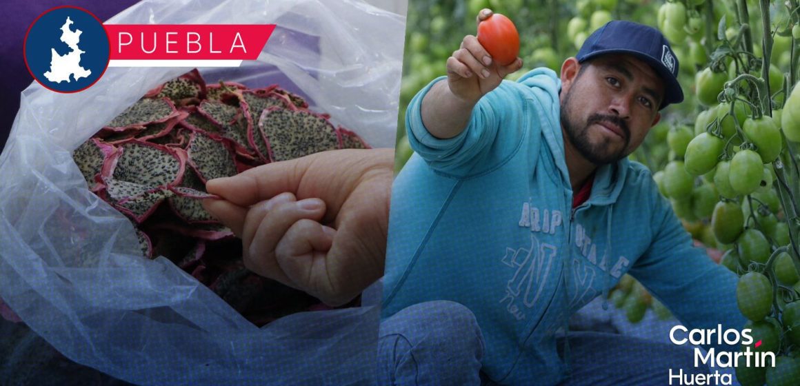 Gobierno Estatal avanza en construcción de CIITRAS para brindar valor agregado al campo