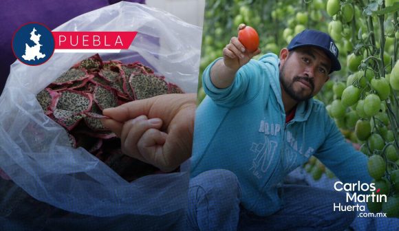 Gobierno Estatal avanza en construcción de CIITRAS para brindar valor agregado al campo Gobierno Estatal avanza en construcción de CIITRAS para brindar valor agregado al campo