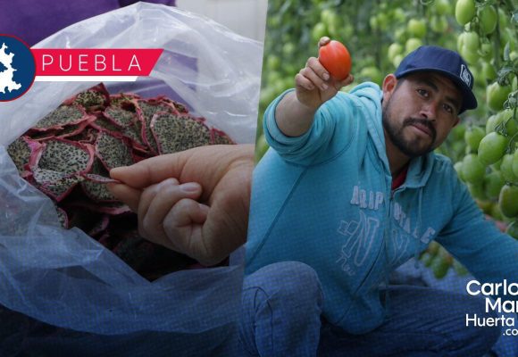 Gobierno Estatal avanza en construcción de CIITRAS para brindar valor agregado al campo Gobierno Estatal avanza en construcción de CIITRAS para brindar valor agregado al campo