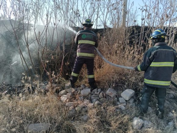 Sofocan incendio de pastizal en Los Héroes Segunda Sección