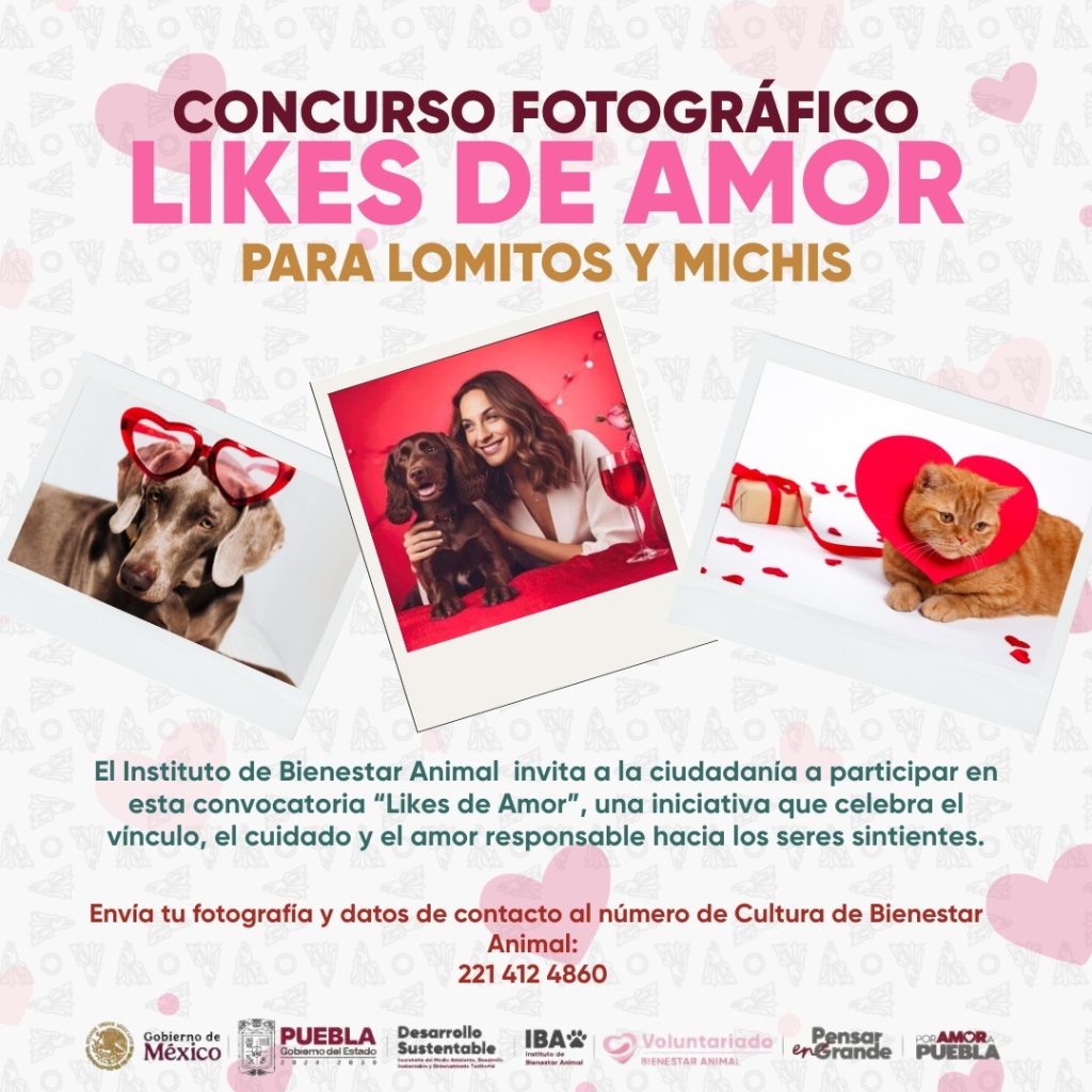 IBA convoca al concurso fotografico Likes del Amor 2026 2