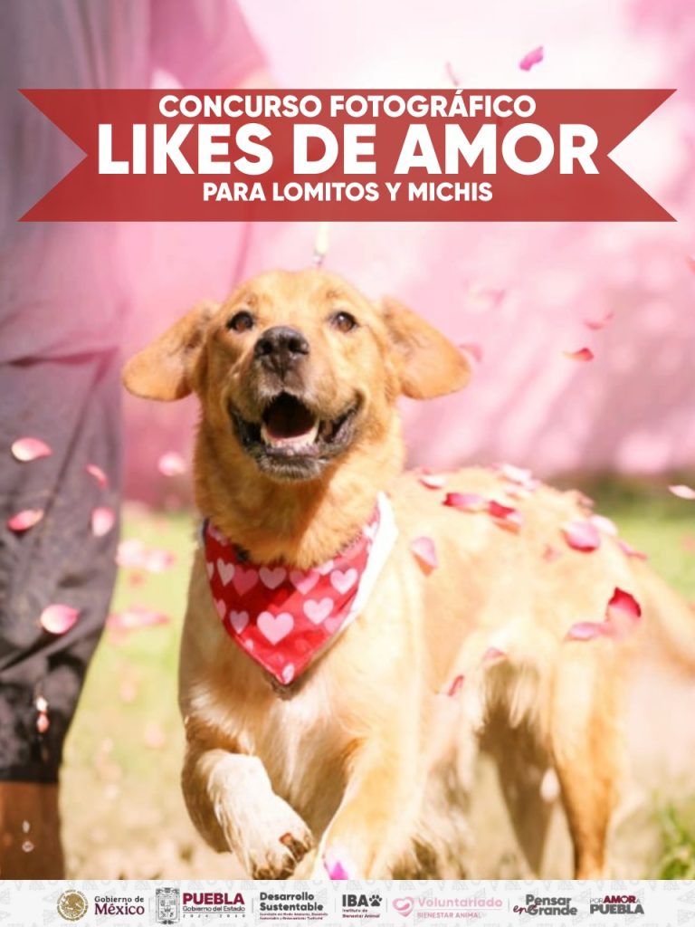 IBA convoca al concurso fotográfico “Likes del Amor” 2026