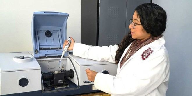 IPN desarrolla biosensor para detectar bacteria vinculada al cáncer de estómago 1 IPN desarrolla biosensor para detectar bacteria vinculada al cáncer de estómago