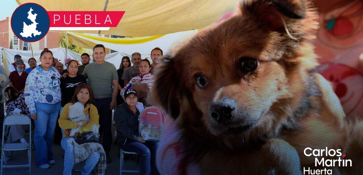 Impulsan jornadas gratuitas de protección animal en distintas zonas de la capital