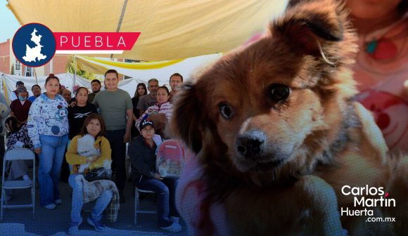 Impulsan jornadas gratuitas de protección animal en distintas zonas de la capital