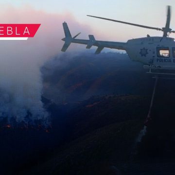 Refuerzan combate al incendio forestal en Vicente Guerrero; registran 70% de control