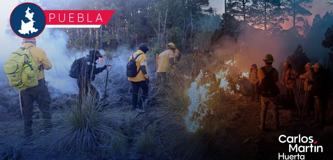 Mantiene Gobierno Estatal control de incendios forestales y protege ecosistemas