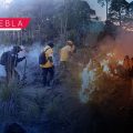 Mantiene Gobierno Estatal control de incendios forestales y protege ecosistemas
