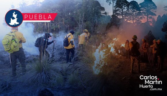 Mantiene Gobierno Estatal control de incendios forestales y protege ecosistemas