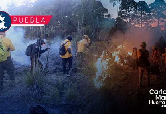 Mantiene Gobierno Estatal control de incendios forestales y protege ecosistemas