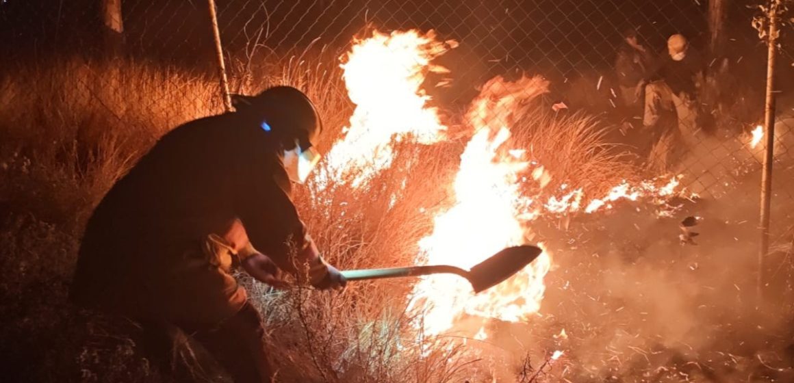 Atención oportuna: 88 siniestros forestales atendidos en 31 municipios poblanos