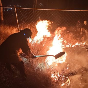 Atención oportuna: 88 siniestros forestales atendidos en 31 municipios poblanos