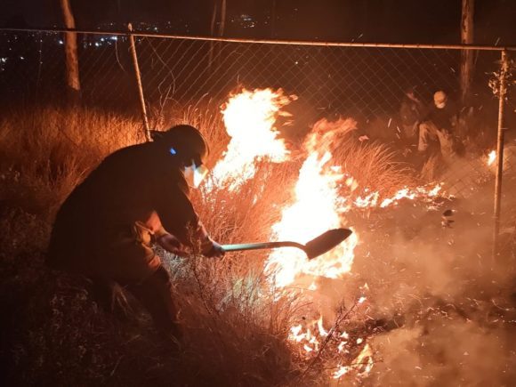 Atención oportuna: 88 siniestros forestales atendidos en 31 municipios poblanos