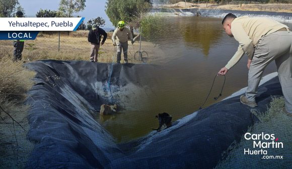 Paramédicos de Yehualtepec logran rescatan a tres perros de morir ahogados tras caer a un jagüey