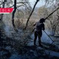Policía Estatal Forestal controla incendios en Libres y San Pedro Cholula