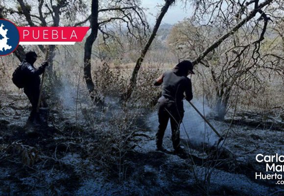 Policía Estatal Forestal controla incendios en Libres y San Pedro Cholula Policía Estatal Forestal controla incendios en Libres y San Pedro Cholula