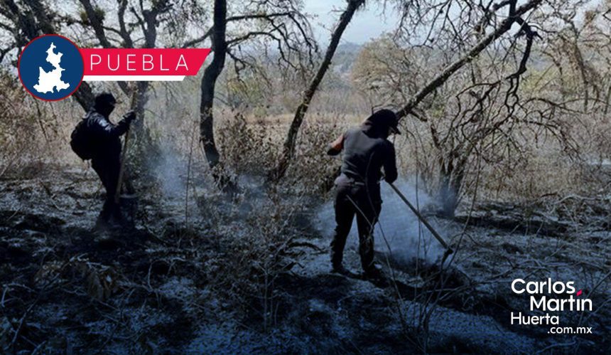 Policía Estatal Forestal controla incendios en Libres y San Pedro Cholula