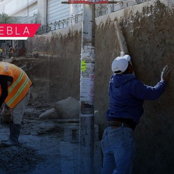 Por amparo federal, suspenden la obra de barda perimetral en la Central de Abasto