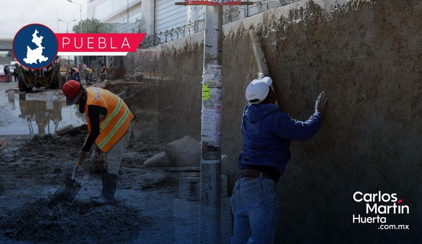 Por amparo federal, suspenden la obra de barda perimetral en la Central de Abasto