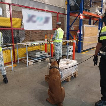 Aseguran precursores químicos en una empresa de paquetería en el AIFA