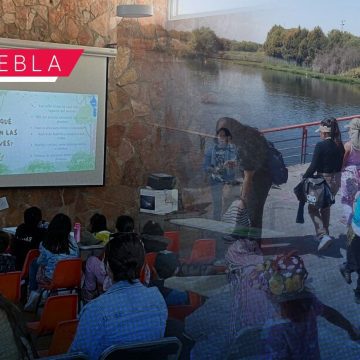 Puebla capital impulsa la educación ambiental con “Exploradores de Aves en Chapulco”