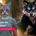 ¿Qué son los Therians? Origen, diferencias con los Furros y su presencia en México
