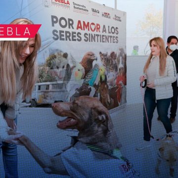 Supervisa SEDIF avances en rehabilitación del Centro de Bienestar Animal