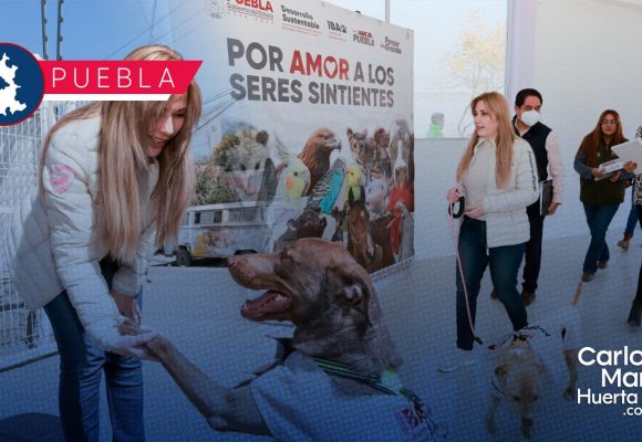Supervisa SEDIF avances en rehabilitación del Centro de Bienestar Animal