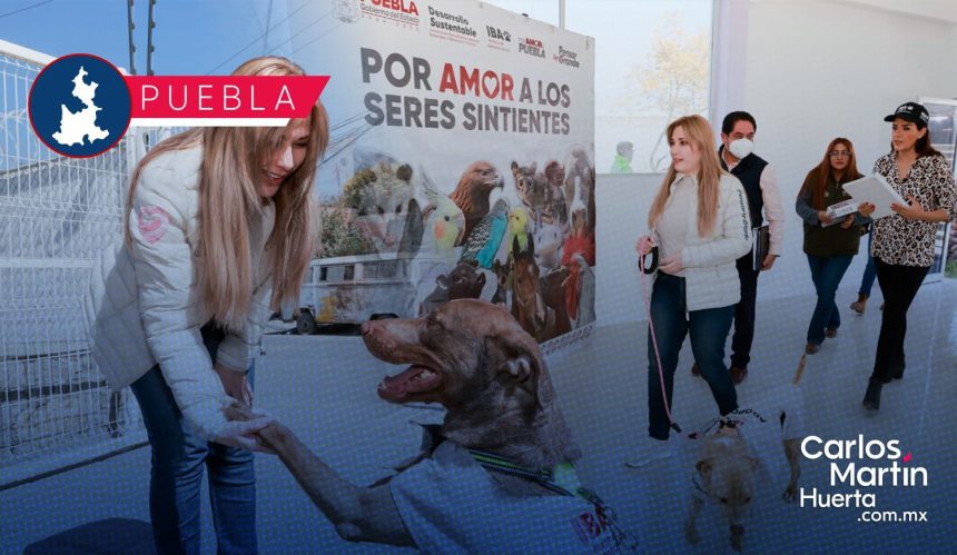 Supervisa SEDIF avances en rehabilitación del Centro de Bienestar Animal