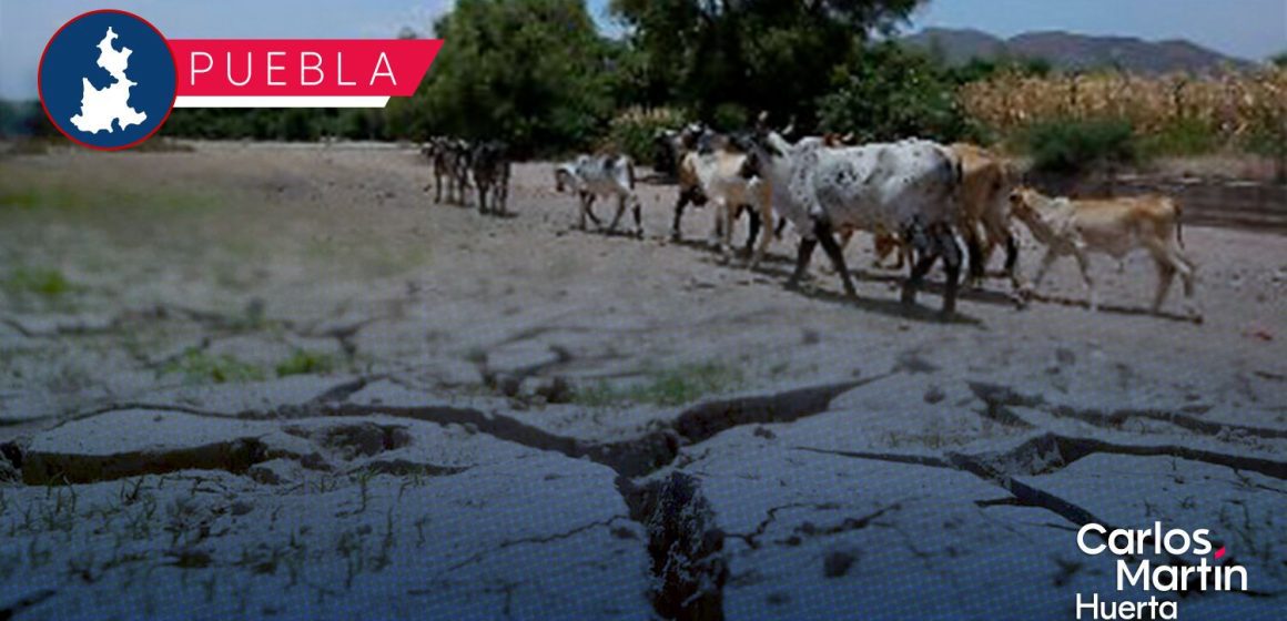 La sed regresa a la Mixteca: 17 municipios bajo alerta por sequía inusual