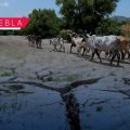 La sed regresa a la Mixteca: 17 municipios bajo alerta por sequía inusual