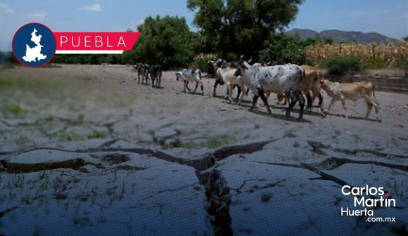 La sed regresa a la Mixteca: 17 municipios bajo alerta por sequía inusual